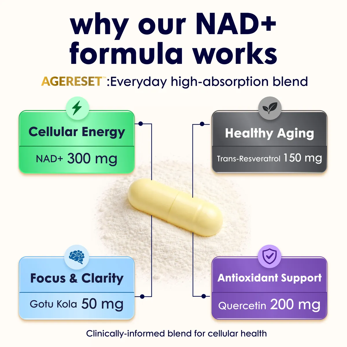 Why our NAD+ formula works — NAD+ 300mg, Trans-Resveratrol 150mg, Quercetin 200mg, Gotu Kola 50mg